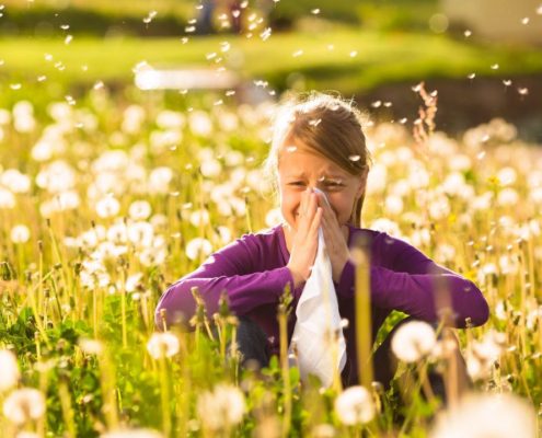 Allergia sintomi e cause